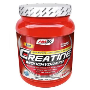 CREATINE MONOHYDRATE 500GR AMIX